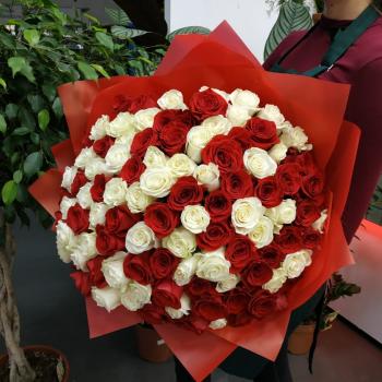 Букет из 101 розы (красные и белые розы) [Артикул  140138]