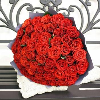 Букет Красная роза Эквадор 51 шт (Артикул: 244278ufa)