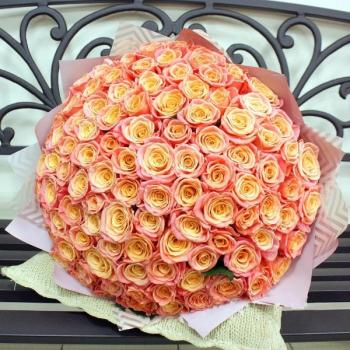Букет Оранжевые розы Эквадор 101 шт (50 см) №  244852u